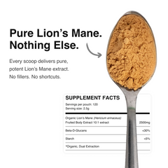 ALL7 Lion’s Mane Mushroom