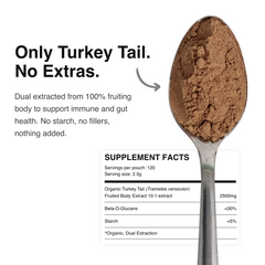 ALL7 Turkey Tail Mushroom