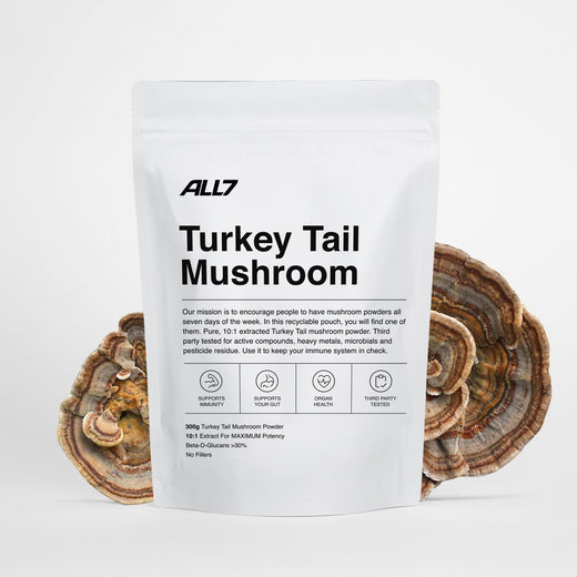 ALL7 Turkey Tail Mushroom