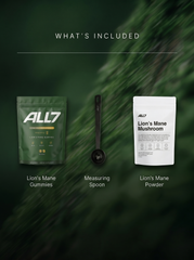 What's included in the Focus Starter Kit
