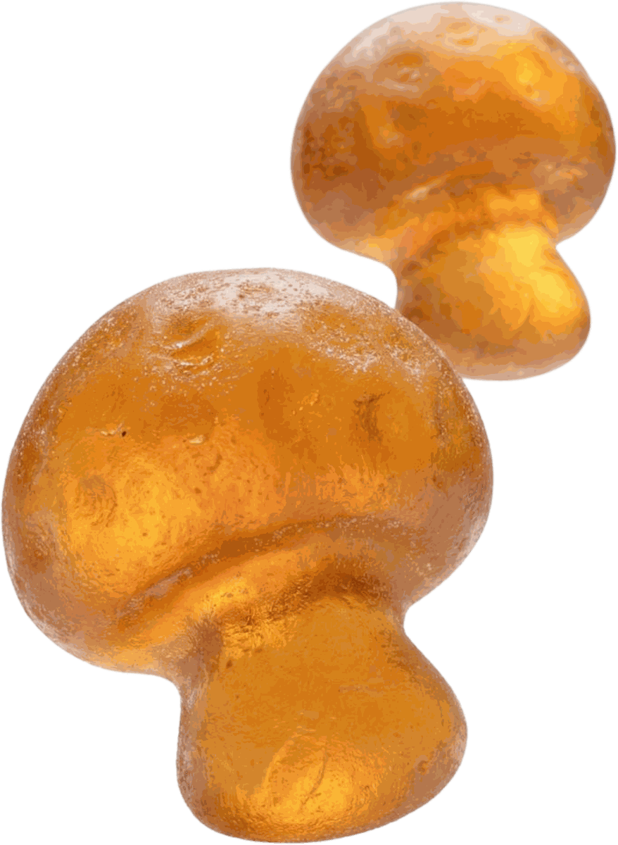 ALL7 Lion&rsquo;s Mane Gummies